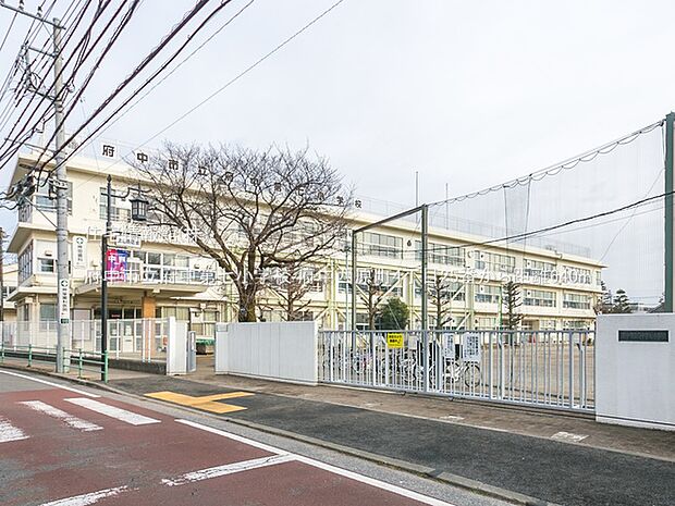 府中市立府中第七小学校まで約640m（徒歩8分）