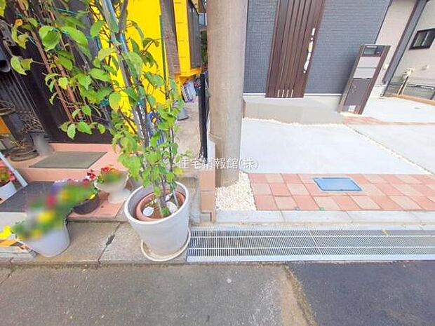 現地写真です。