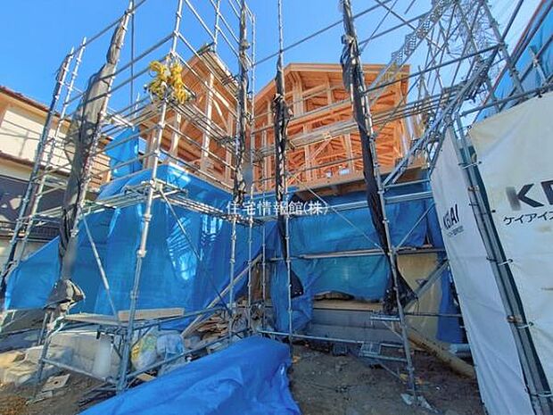 現地写真です。