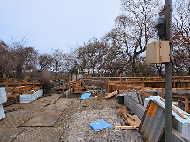 現地写真です。