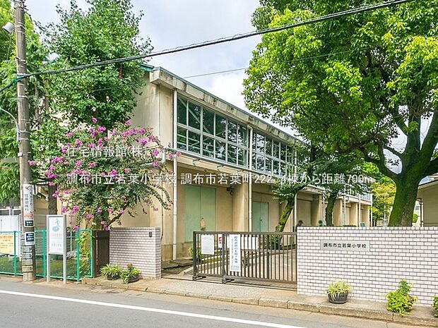 調布市立若葉小学校まで約700m（徒歩9分）