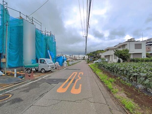 現地写真です。