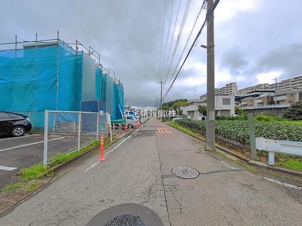 現地写真です。