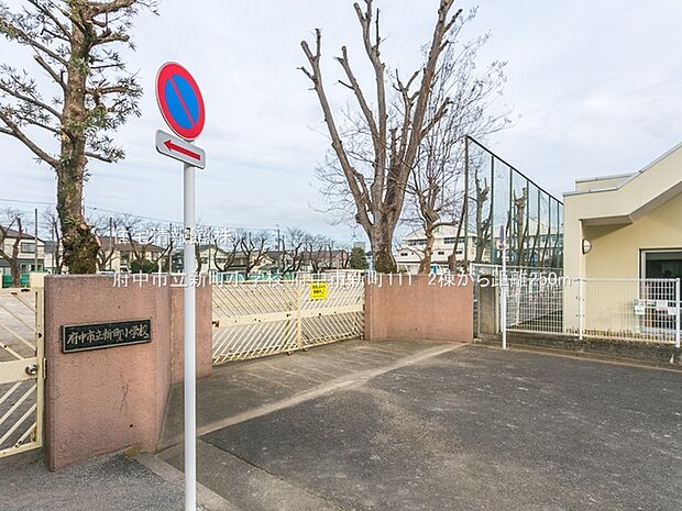 府中市立新町小学校まで約250m(徒歩4分)
