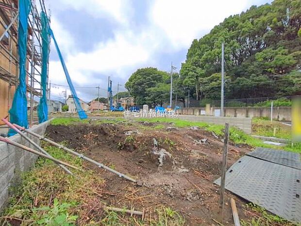現地写真です。