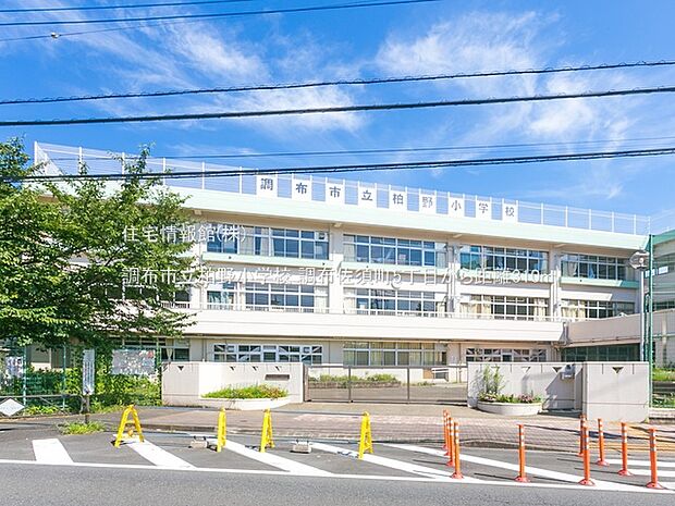 調布市立柏野小学校まで約310m(徒歩4分)