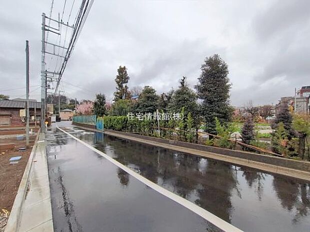 現地写真です。