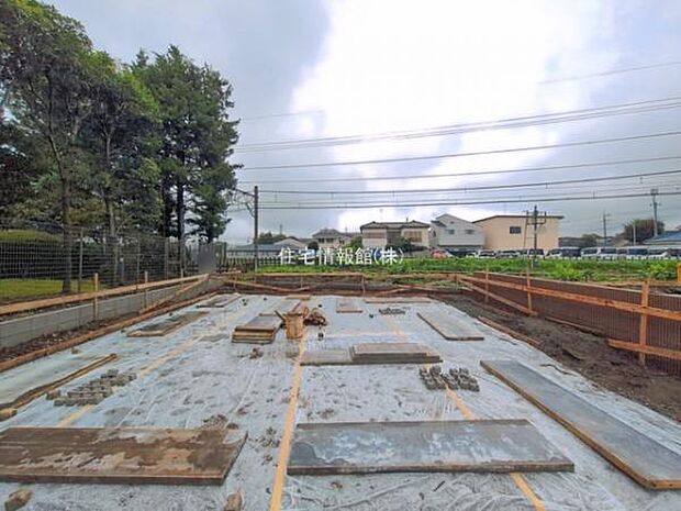 現地写真です。