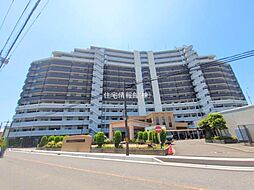 シーズガーデングリーンパティオ