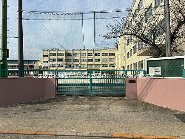 足立区立花畑北中学校まで約230m（徒歩3分）