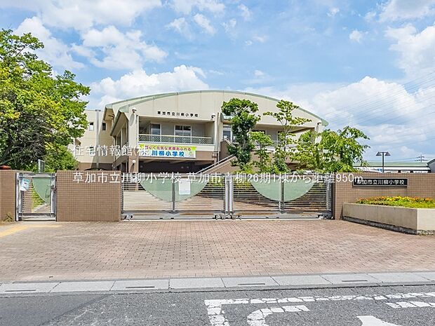 草加市立川柳小学校まで約950m（徒歩12分）