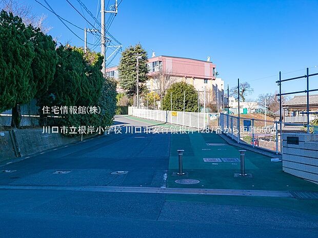 川口市立根岸小学校まで約550m（徒歩7分）