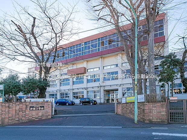 川口市立神根小学校まで約950m（徒歩12分）