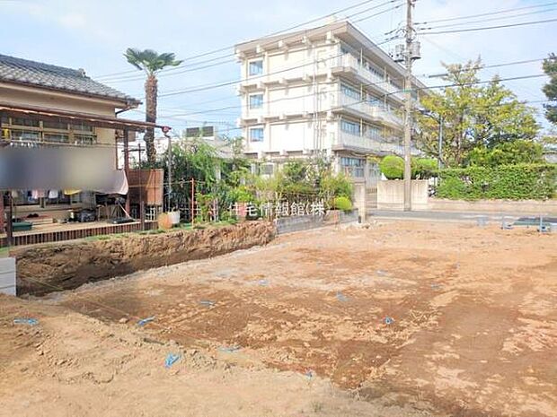 現地写真です。