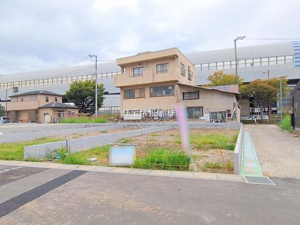 現地写真です。