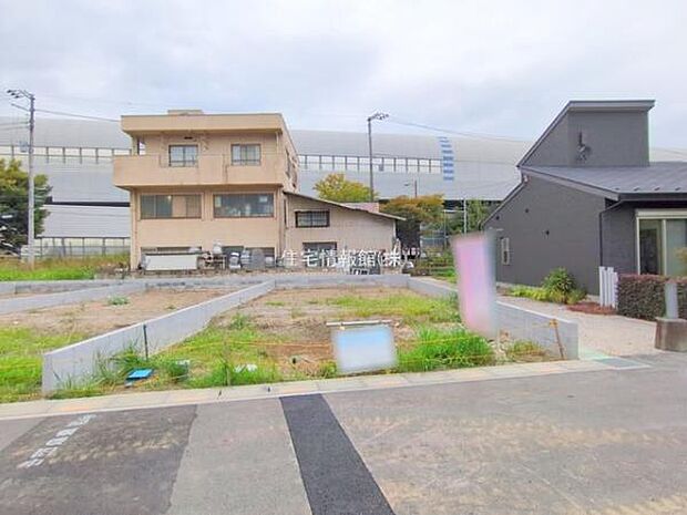 現地写真です。