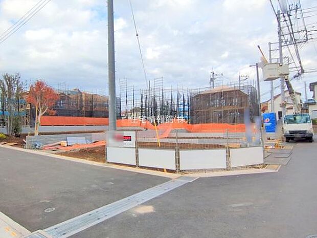 現地写真です。