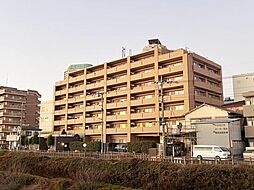 シュロス川口元郷リバーテラス