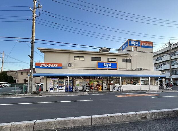 ビッグ・エー 川口上青木西2丁目店まで約700m(徒歩9分)