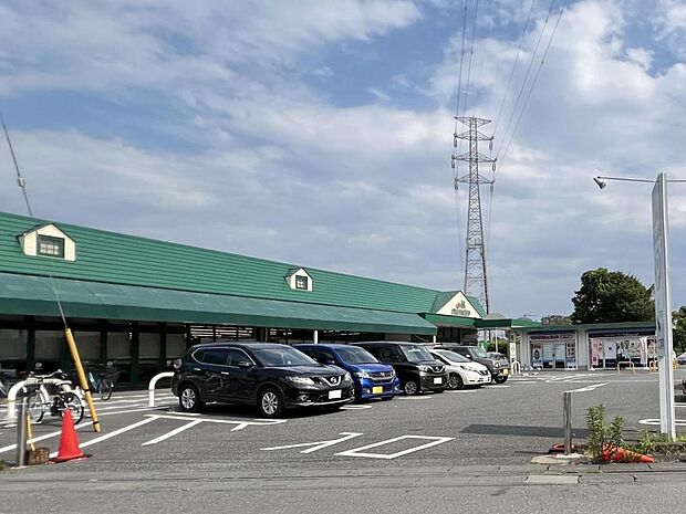 マルエツ 安行慈林店まで約1410m（徒歩18分）