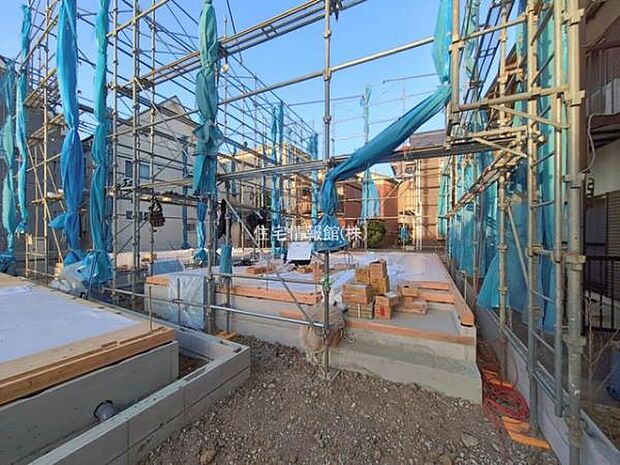 現地写真です。