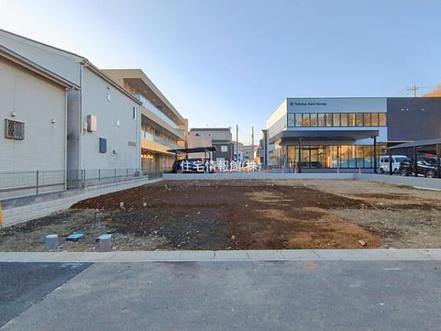 現地写真です。