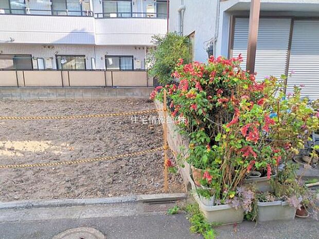 現地写真です。