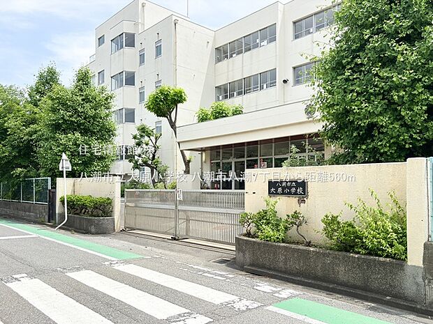八潮市立大原小学校まで約560m(徒歩7分)