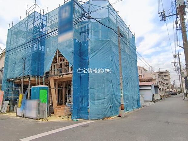 現地写真です。