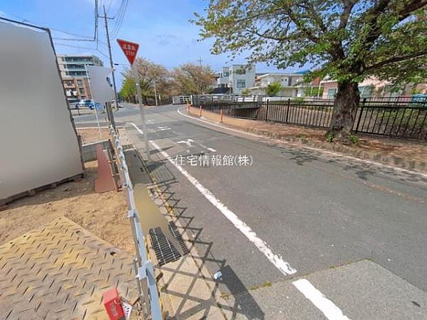 現地写真です。