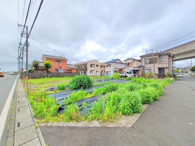 現地写真です。