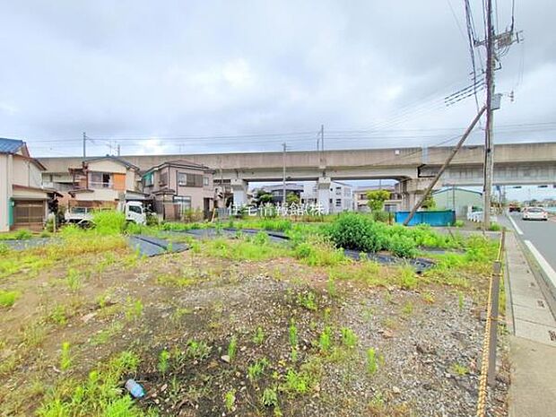現地写真です。