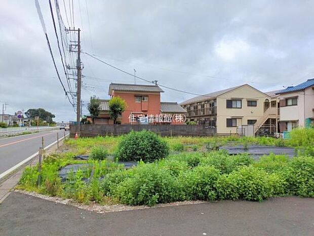 現地写真です。