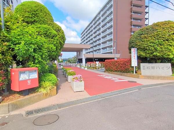 ゆったりとした印象のエントランスです。