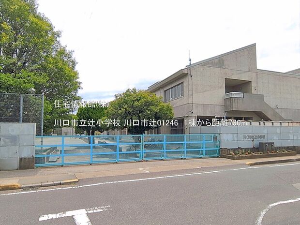 川口市立辻小学校まで約730m（徒歩10分）