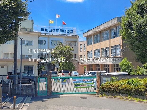 川口市立原町小学校まで約600m（徒歩8分）