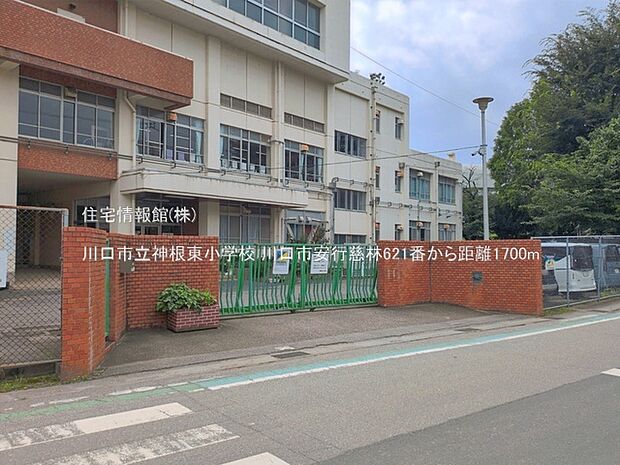 川口市立神根東小学校まで約1700m(徒歩22分)