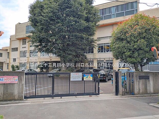川口市立十二月田小学校まで約750m(徒歩10分)