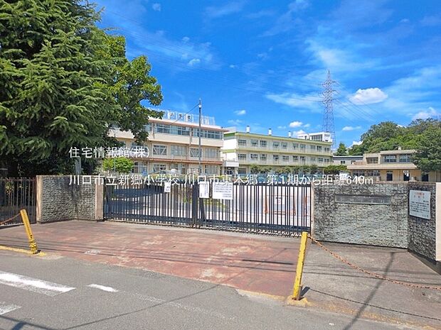 川口市立新郷小学校まで約640m(徒歩8分)