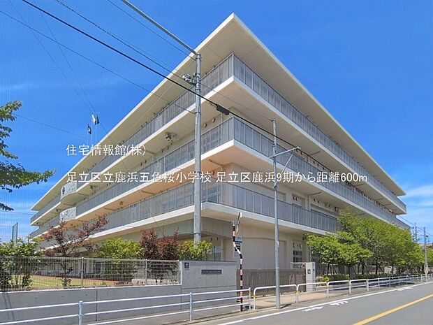 足立区立鹿浜五色桜小学校まで約600m（徒歩8分）