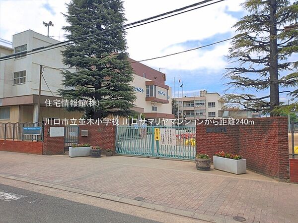 川口市立並木小学校まで約240m（徒歩3分）