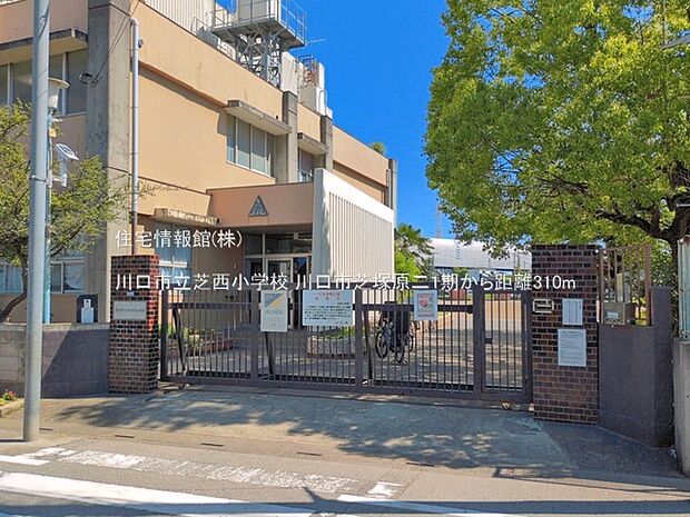 川口市立芝西小学校まで約310m（徒歩4分）