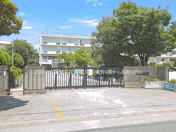 三郷市立鷹野小学校まで約500m（徒歩7分）