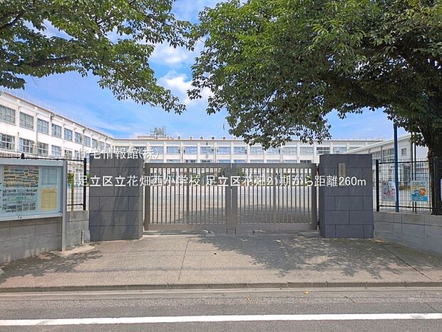 足立区立花畑西小学校まで約260m(徒歩4分)
