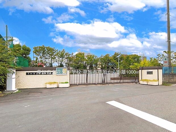 草加市立花栗中学校まで約1000m(徒歩13分)