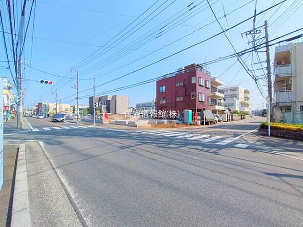 現地写真です。