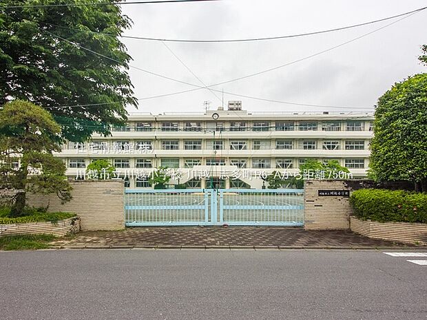 川越市立川越小学校まで約750m（徒歩10分）