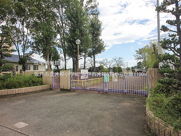 坂戸市立片柳小学校まで約1100m（徒歩14分）