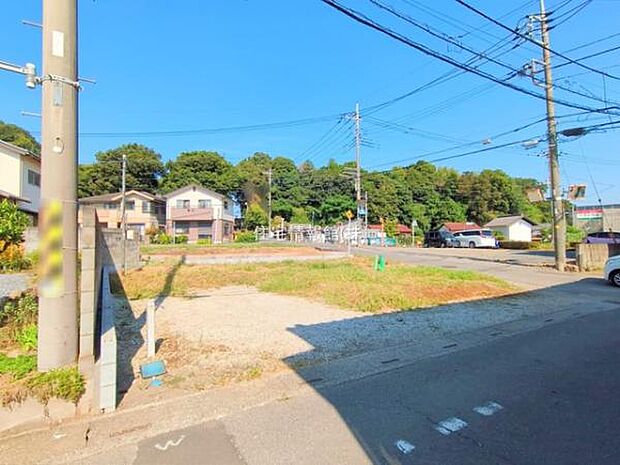 現地写真です。