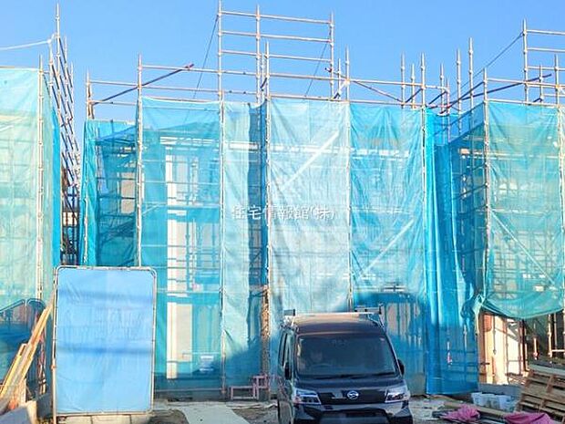 現地写真です。